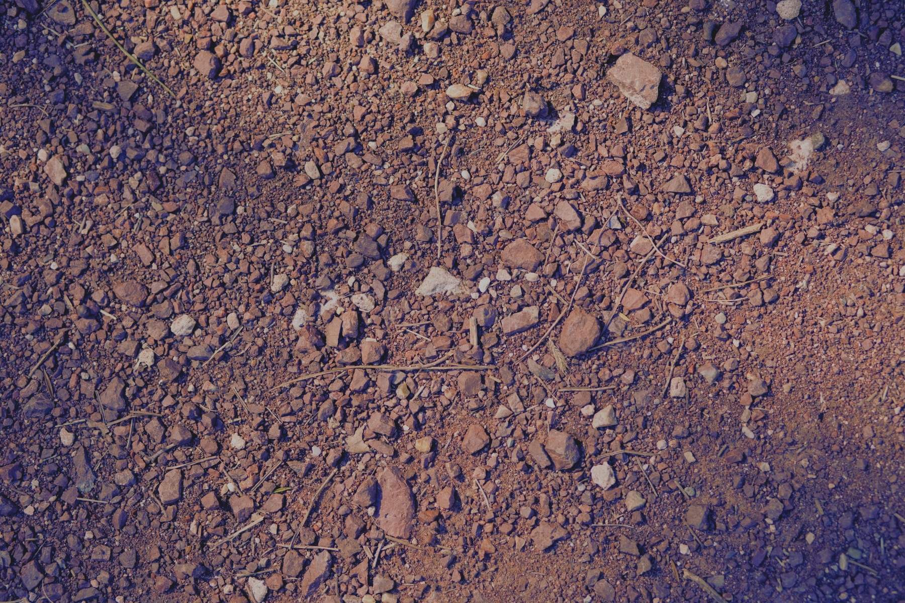 Detailaufnahme einer trockenen, kiesigen Bodenoberfläche im Freien