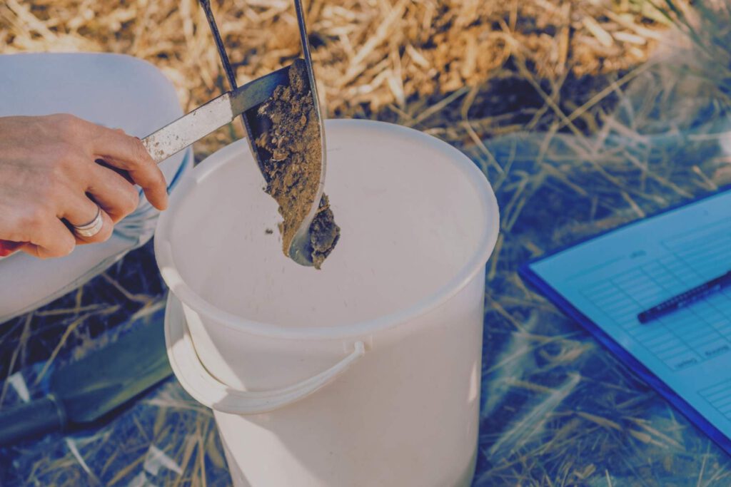 Hand hält Spaten mit Erdprobe und legt sie in einen Eimer für die Beprobung.