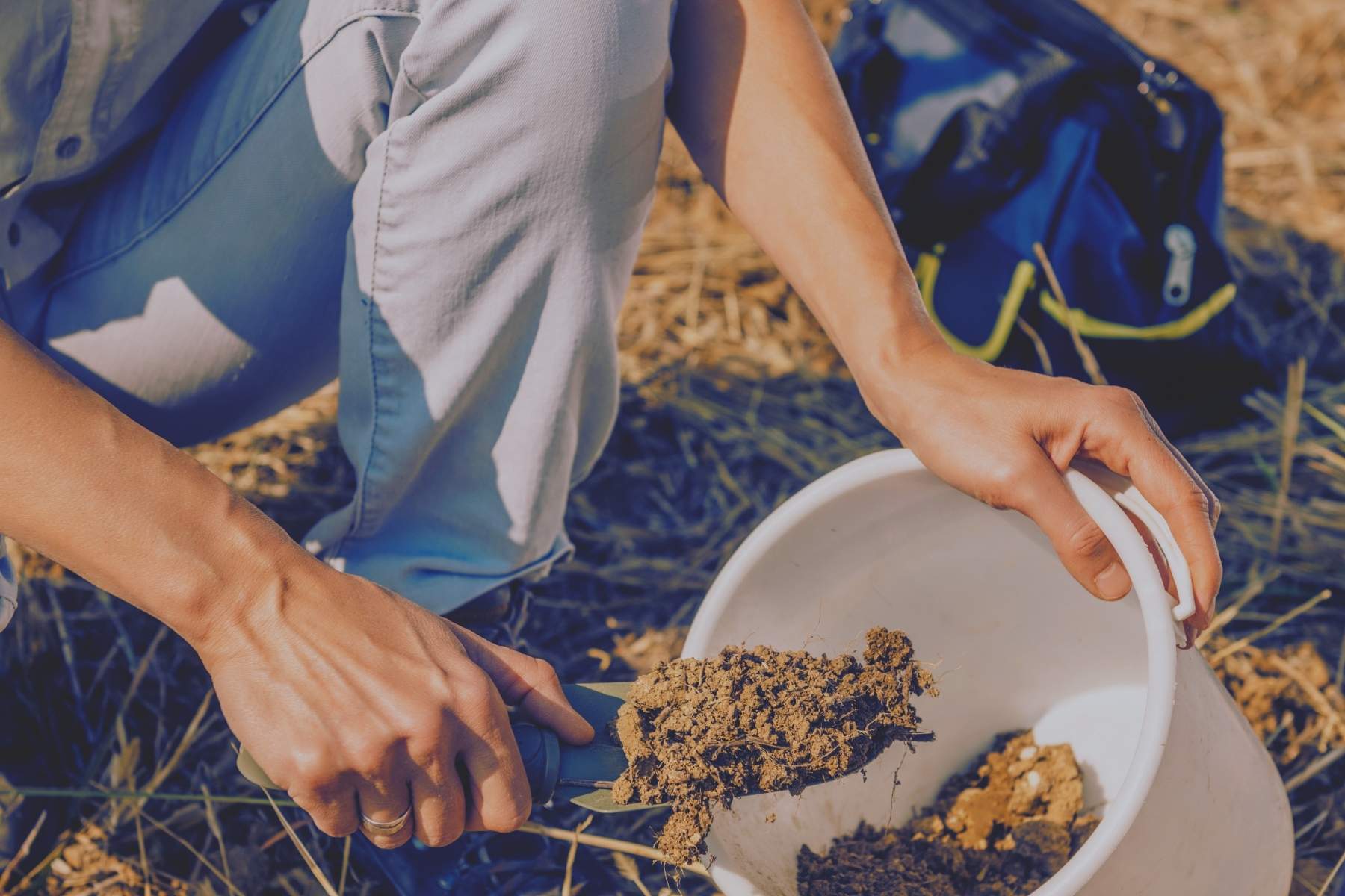 Hände füllen eine Bodenprobe mit Probenschaufel in einen Eimer